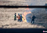 117 pożarów traw w jeden weekend - zdjęcie główne