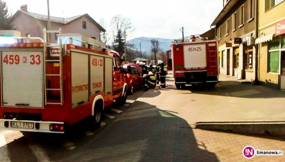 Pożar samochodu udało się opanować - zdjęcie 1