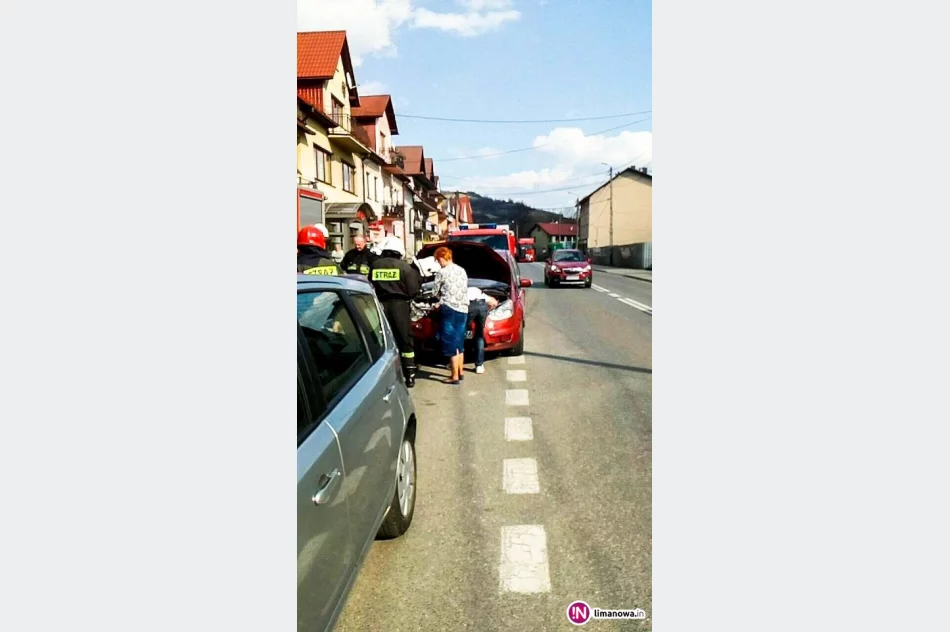 Pożar samochodu udało się opanować - zdjęcie 3