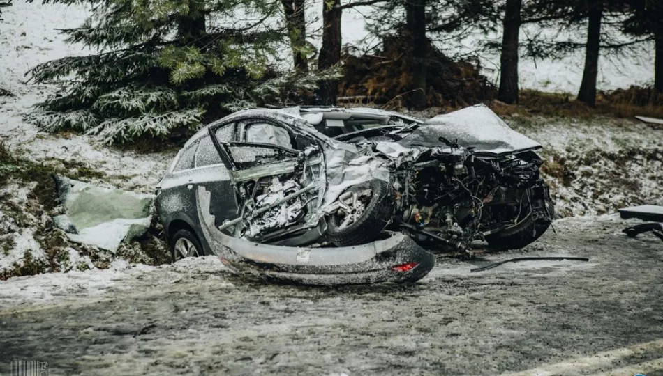 Policja szuka świadków tragicznego wypadku - zdjęcie 1