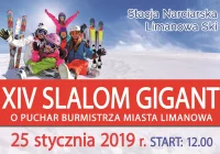  UWAGA! Zakończyły się zapisy na XIV SLALOM GIGANT - zdjęcie główne