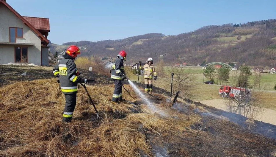 Przez wypalanie łąki spłonęła wiata - zdjęcie 1