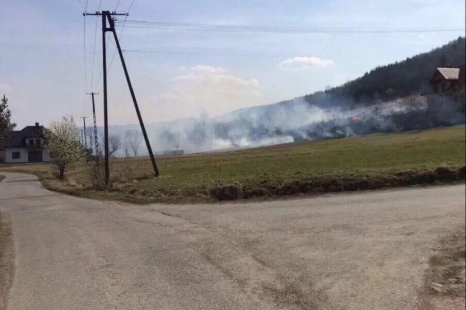 Przez wypalanie łąki spłonęła wiata - zdjęcie 3