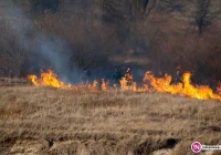 Co rok giną ludzie, straty idą w miliony złotych - mimo to, sezon 'wypalania traw' w pełni - zdjęcie główne