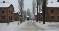 Limanowianie oraz mieszkańcy Ziemi Limanowskiej w niemieckich, nazistowskich obozach koncentracyjnych - zdjęcie 2