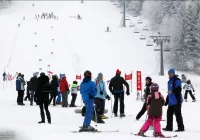 XIV SLALOM GIGANT na zakończenie ferii zimowych - zdjęcie główne