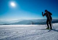 Jak na Mogielicy trenują mistrzowie - zobacz film - zdjęcie główne