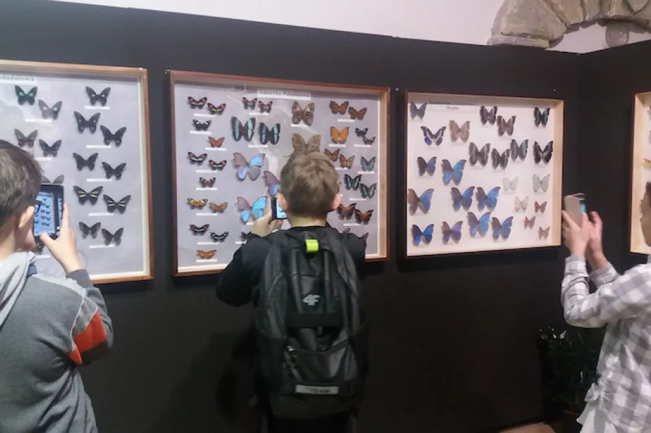 Atrakcje dla dzieci i młodzieży spędzających drugi tydzień ferii z biblioteką - zdjęcie 3