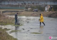 25 osób sprzątało rzekę. Ludzie wyrzucają nawet poremontowe śmieci - zdjęcie główne