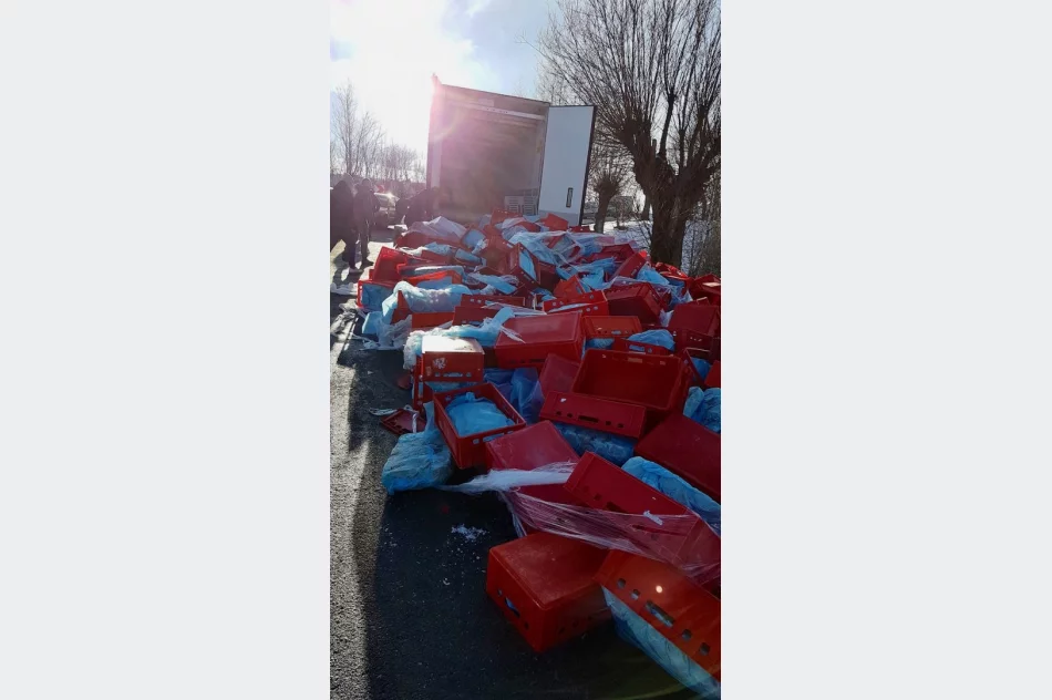 Mięso wypadło z naczepy na jezdnię - zdjęcie 3