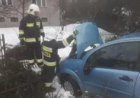 Citroen wypadł z drogi, kierująca ukarana mandatem - zdjęcie główne