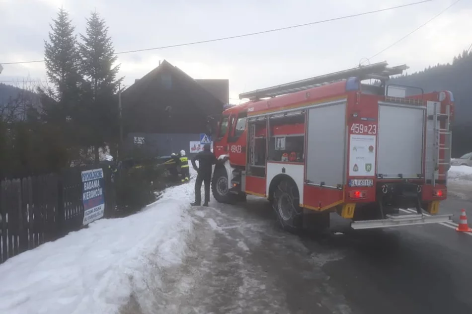 Citroen wypadł z drogi, kierująca ukarana mandatem - zdjęcie 2