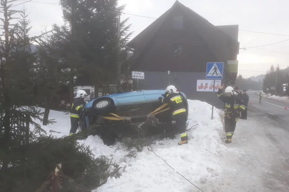 Citroen wypadł z drogi, kierująca ukarana mandatem - zdjęcie 3