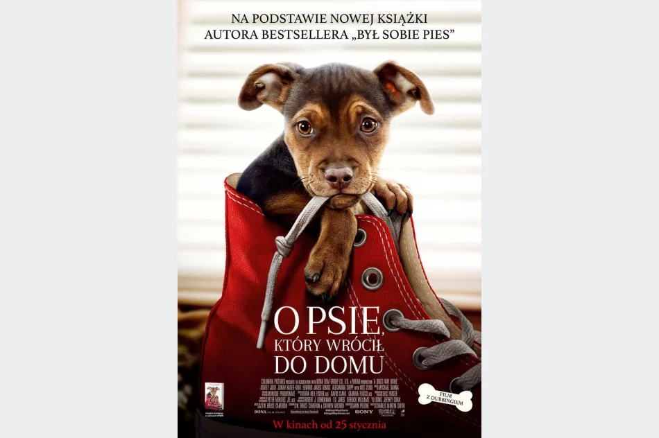 "O psie, który wrócił do domu" od 8 lutego w Kinie Klaps! - zdjęcie 2
