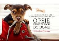 "O psie, który wrócił do domu" od 8 lutego w Kinie Klaps! - zdjęcie główne
