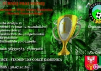 Turniej piłkarski w Kamienicy. Zgłoszenia do jutra - zdjęcie główne