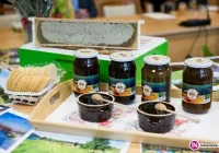 Miód spadziowy z Beskidu Wyspowego ubiega się o wpis na Listę Produktów Tradycyjnych - zdjęcie główne