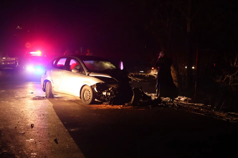 Nie żyje 61-letnia kobieta, 5 osób - w tym 3 dzieci - trafiło do szpitala - zdjęcie 3