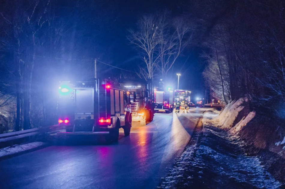 Samochód uderzył w drzewo. Zginął młody kierowca - zdjęcie 2
