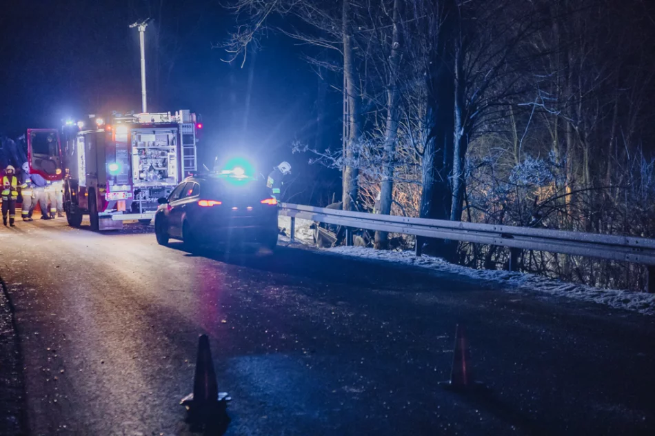 Samochód uderzył w drzewo. Zginął młody kierowca - zdjęcie 5