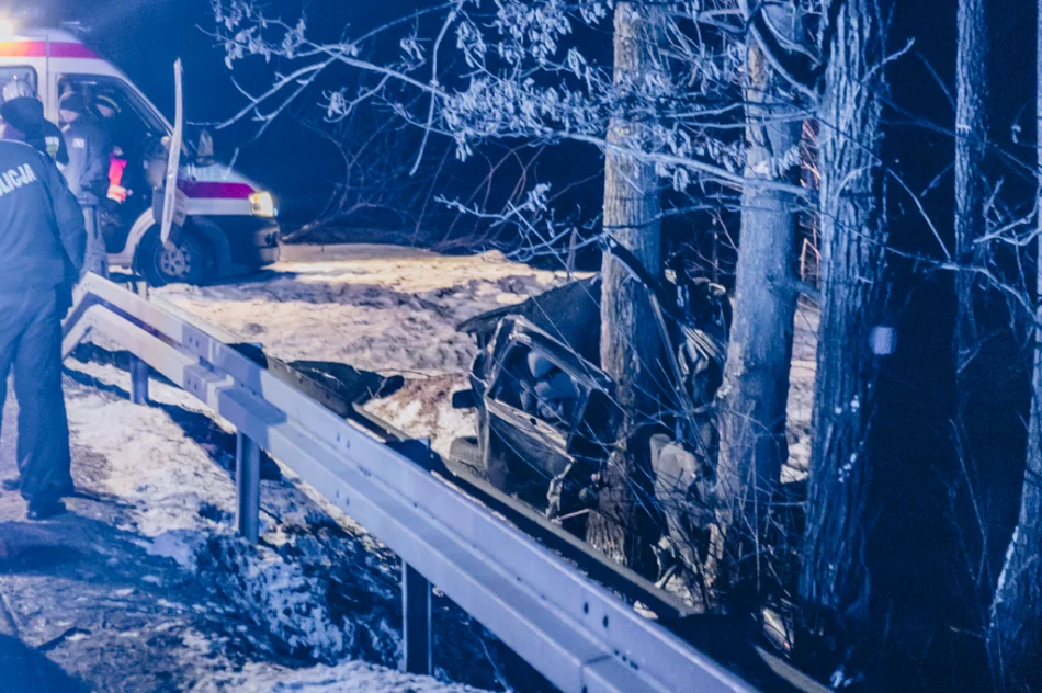 Samochód uderzył w drzewo. Zginął młody kierowca - zdjęcie 6