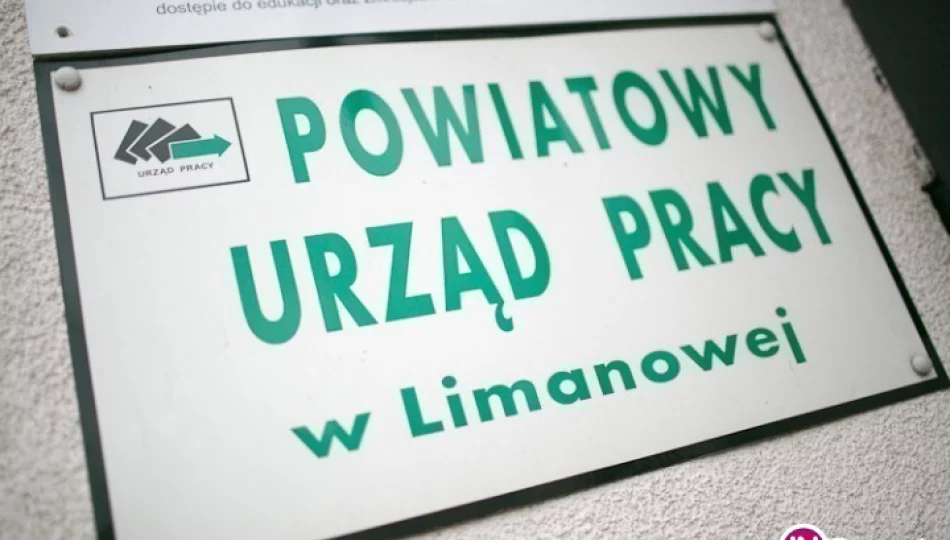 Aktualna sytuacja na rynku pracy - spadek bezrobocia - zdjęcie 1