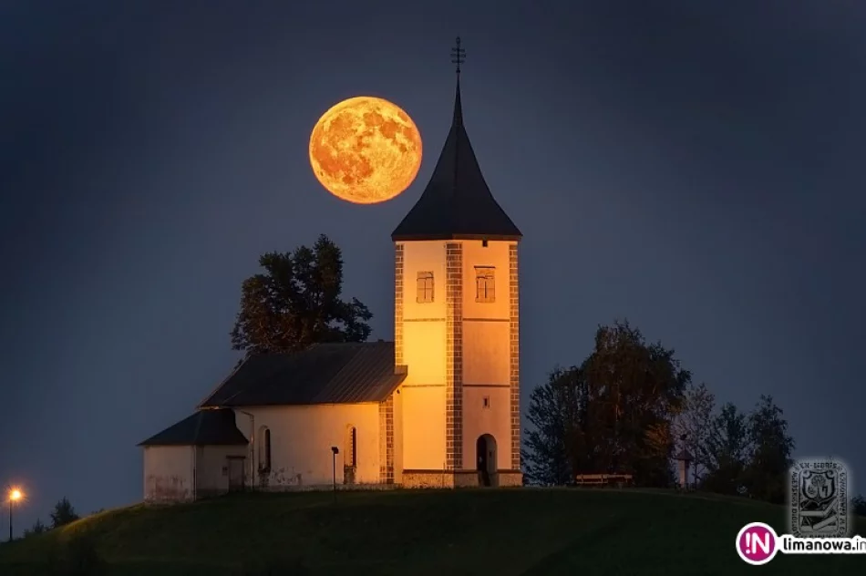 Przyjdź i zobacz 'Piękno Stworzenia' - zdjęcie 3