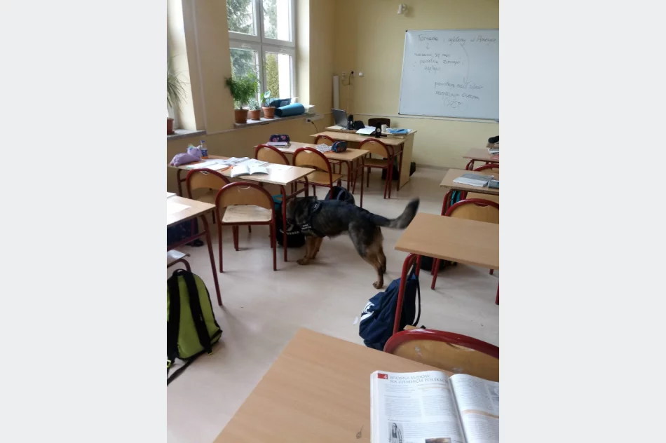 Funkcjonariusze KOSG z programem profilaktycznym wśród uczniów - zdjęcie 4