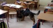 Funkcjonariusze KOSG z programem profilaktycznym wśród uczniów - zdjęcie 4