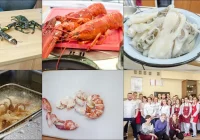 Kulinarne warsztaty z szefem kuchni - zdjęcie główne