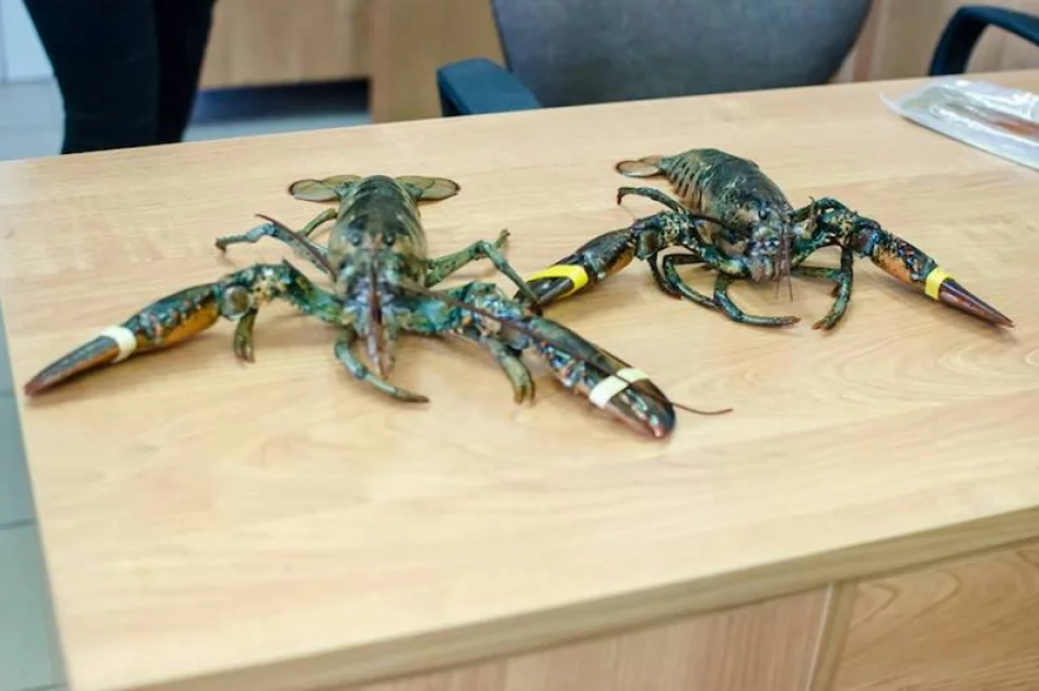 Kulinarne warsztaty z szefem kuchni - zdjęcie 3