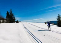 Gdzie na narty? Sprawdź warunki  - zdjęcie główne