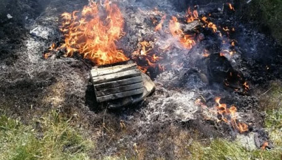 Straż miejska ukarała za wyrzucenie przy rzece oraz spalenie śmieci w ognisku - zdjęcie 1