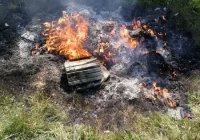 Straż miejska ukarała za wyrzucenie przy rzece oraz spalenie śmieci w ognisku - zdjęcie główne