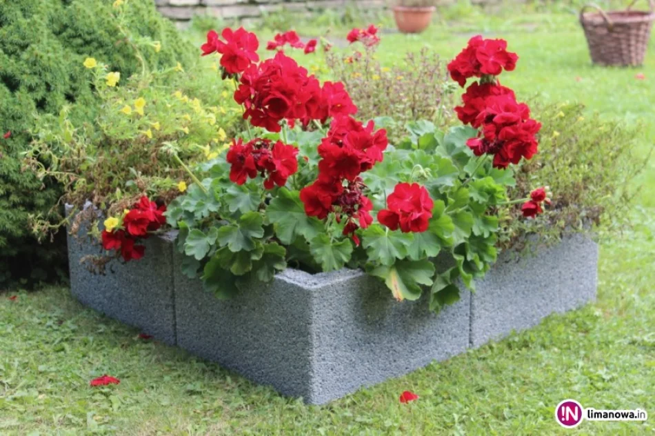 Uporządkuj swój ogród na wiosnę! Promocja firmy Joniec: „Produkty na kilogramy' - zdjęcie 4