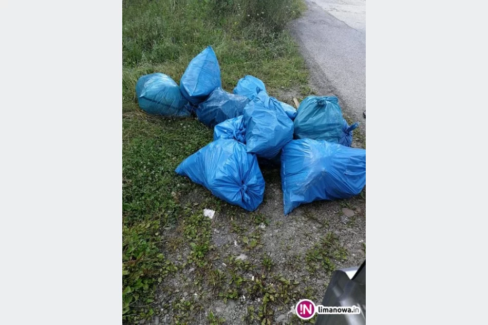 Straż miejska ukarała za wyrzucenie przy rzece oraz spalenie śmieci w ognisku - zdjęcie 2