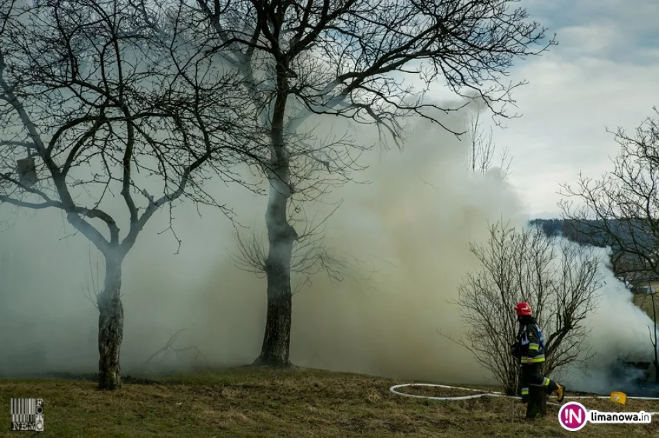 Spłonęła drewniana wiata. Przyczyną wypalanie traw? - zdjęcie 3