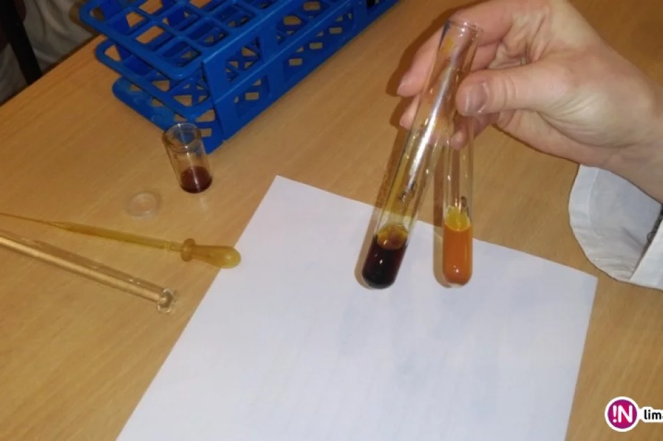 Licealiści uczą się w 'chmurze edukacyjnej' - zdjęcie 4