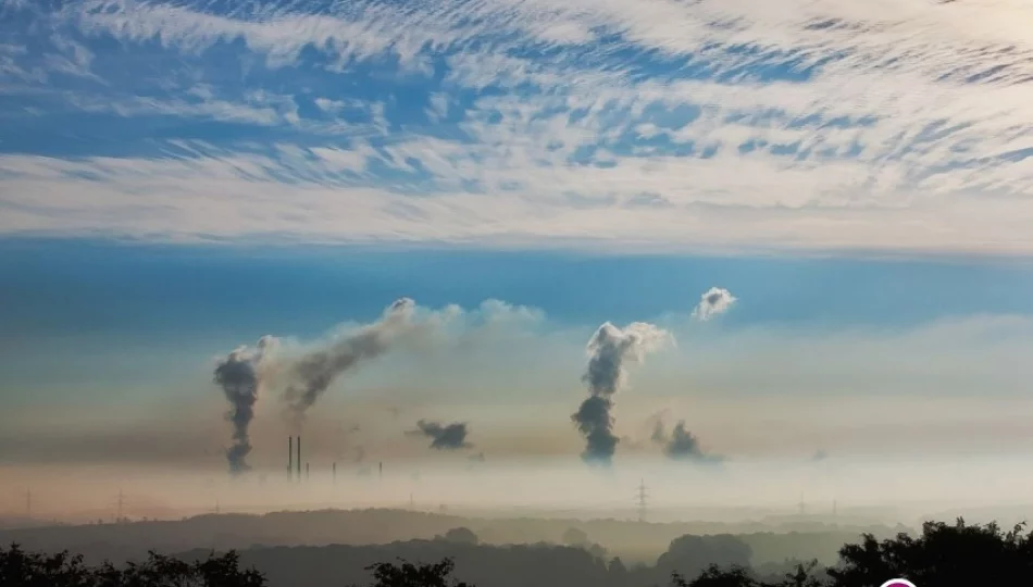 Naukowcy proponują ograniczanie smogu bez eliminowania tanich paliw węglowych - zdjęcie 1