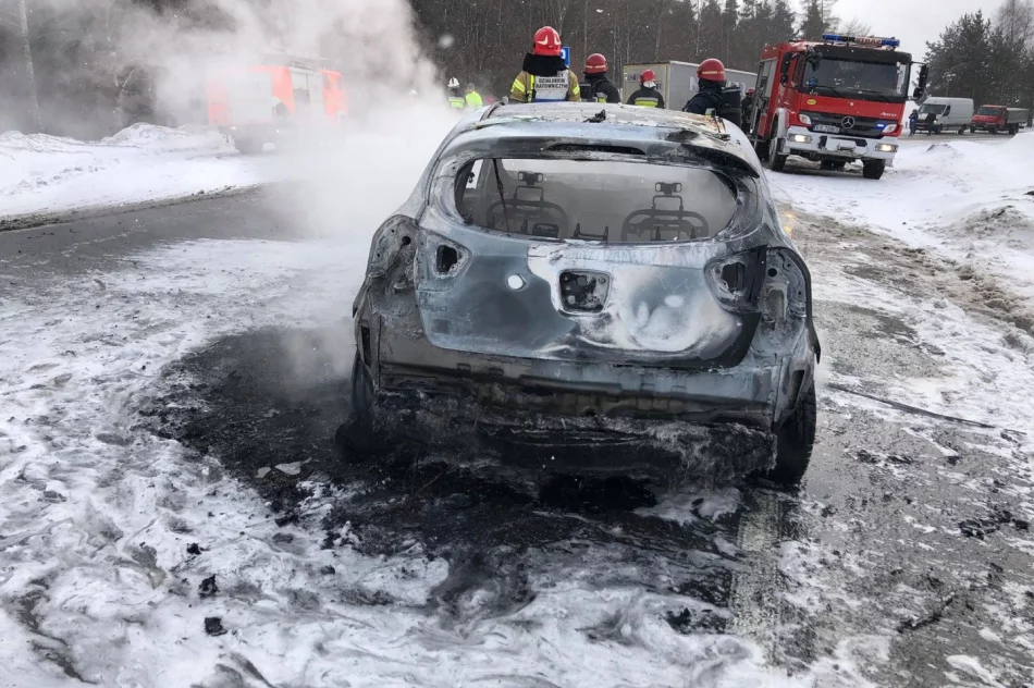 Samochód zapalił się w trakcie jazdy - zdjęcie 6