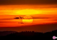 Uwaga! Będzie bardzo mocno wiało - nadchodzi halny! - zdjęcie główne