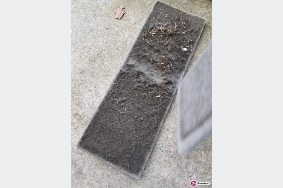 Tym oddychamy... - zdjęcie 2