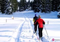 Dwa projekty z regionu na liście wniosków o dofinansowanie - zdjęcie główne