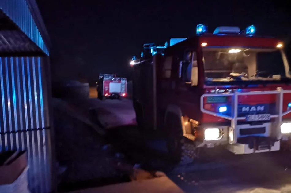 Pożar w zakładzie produkcyjnym - zapaliły się trociny - zdjęcie 3