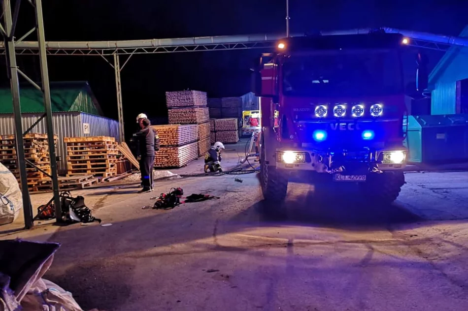 Pożar w zakładzie produkcyjnym - zapaliły się trociny - zdjęcie 4