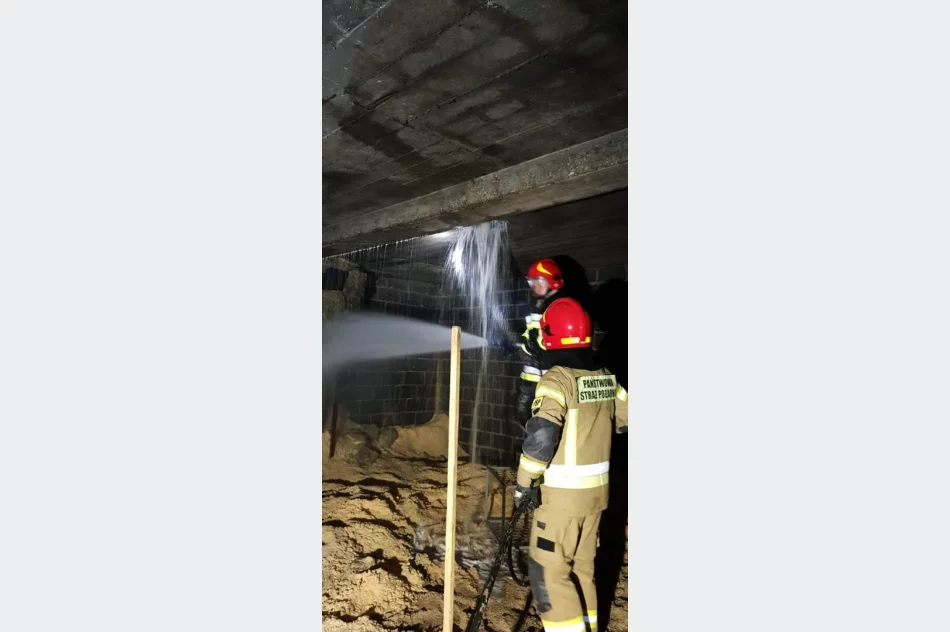 Pożar w zakładzie produkcyjnym - zapaliły się trociny - zdjęcie 6