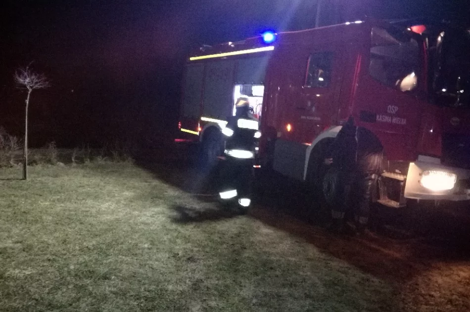 Ogień na poddaszu udało się szybko opanować - zdjęcie 4