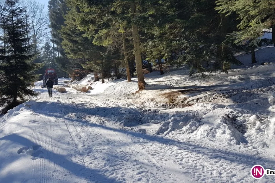Trasa biegowa z zakazem wstępu - zdjęcie 3