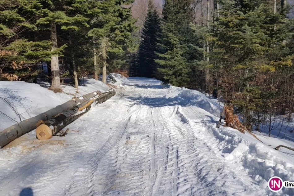 Trasa biegowa z zakazem wstępu - zdjęcie 4