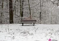 Nie znaleźli bezdomnych w regionie - zdjęcie główne